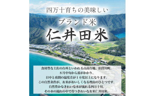 ◎令和７年産◎四万十育ちの美味しい仁井田米（香り米入り）【10kg×12回の定期便】高知のにこまるは四万十の仁井田米。／Rbmu-E11