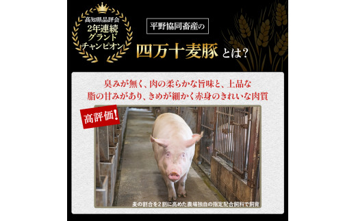 平野協同畜産の「麦豚」 豚もも切り落とし　1㎏　四万十ポーク ／Ahc-B06