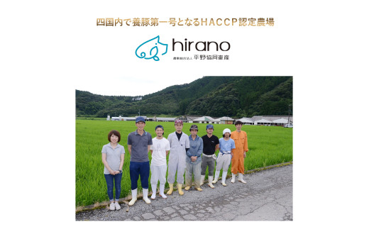 平野協同畜産の「麦豚」 豚もも切り落とし　3㎏（500g×6パック）／  Ahc-A13