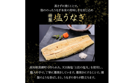 四万十うなぎ 蒲焼き ・ 特製 塩うなぎ 【4尾セット】 ( 110g×2尾 , 140g×2尾 ) 国産 ／Esu-A120 
