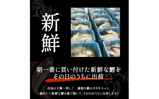 鰹のタタキセット　藁焼き　捕れたて鰹を発送　4人前前後／Ekd-A04