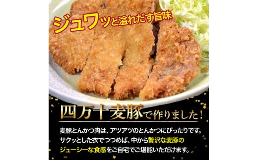 農林水産大臣賞！「四万十ポーク」麦豚ロースとんかつ＆しゃぶしゃぶセット（1.1kg） ／Ahc-A03