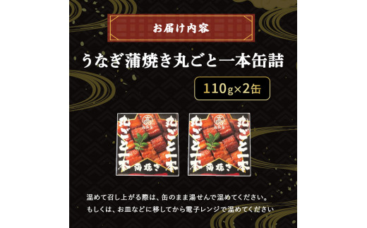 四万十うなぎ 蒲焼き 丸ごと一本缶詰【蒲焼缶詰 x 2本】 国産 ／Esu-A123