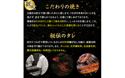 四万十うなぎ 缶詰セット【蒲焼き・ひつまぶし・肝煮】 国産 ／Esu-A77
