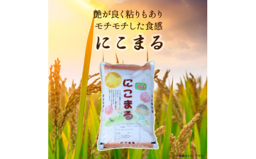 ◎令和7年産◎こだわりの味！人気の品種　井上米穀店さんの「にこまる」／Bib-B06