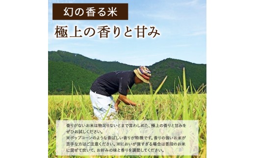 令和8年度産米 香ばしい香りに感動！幻の香る米5kg ／Btb-D13