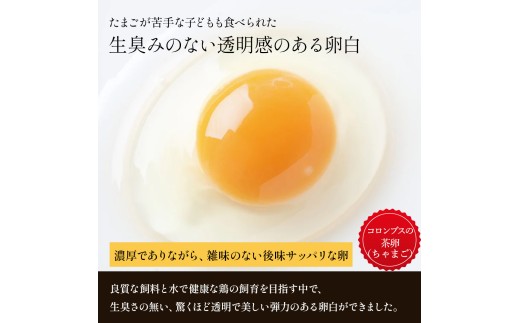 【訳アリ】たまご農場直営スイーツ！こだわり卵のロールケーキ ／Gbn-A44