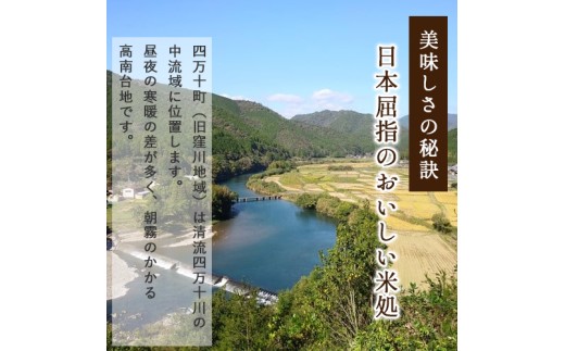  ◎令和7年産◎絶妙なバランスが大好評！井上米穀店の香るお米（十和錦）／Bib-A04