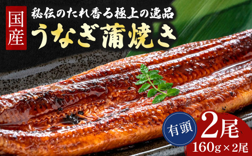 【有頭】うなぎ蒲焼き（160g×2本） ／Esu-A124