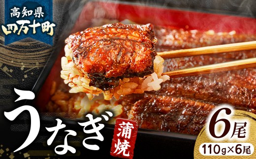 うなぎ蒲焼き【6本セット】 ／Esu-A125