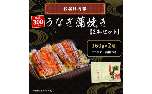 【有頭】うなぎ蒲焼き（160g×2本） ／Esu-A124