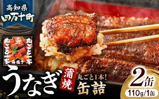 四万十うなぎ 蒲焼き 丸ごと一本缶詰【蒲焼缶詰 x 2本】 国産 ／Esu-A123