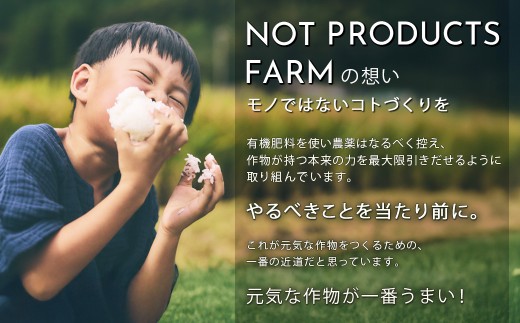 四万十生姜×特許乳酸菌 毎日続ける発酵生姜 「NOT JUST GINGER」 2個入り／ Fnp-A04