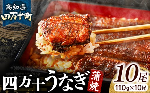 四万十うなぎ 蒲焼き 10尾セット ( 110g × 10尾 ) 国産 ／Esu-A117 