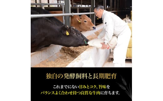 【数量限定】四万十麦酒（ビール）牛。牛肉のこま切れ1㎏／Asz-A39