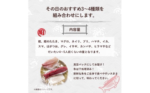 旬な海の幸をお届け！大将のおまかせ刺身3～4種類盛！ 刺し身 海鮮 鮮魚 海鮮丼 魚 刺身セット お魚 さしみ 魚介類 刺身盛り合わせ 冷蔵 鰹 マグロ ブリ ハマチ イカ スマ グレ イサギ セット カンパチ ヒラマサ／Efs-A03