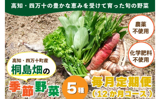 【栽培期間中、農薬・化学肥料不使用】】桐島畑の季節野菜詰め合わせ(5種類)(定期便12か月コース)／Rfkh-B02