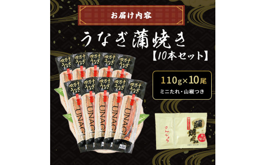 四万十うなぎ 蒲焼き 10尾セット ( 110g × 10尾 ) 国産 ／Esu-A117 
