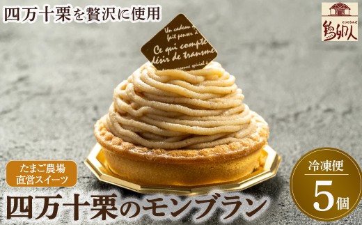 たまご農場直営スイーツ!四万十栗のモンブラン　5個入り ／Gbn-A51