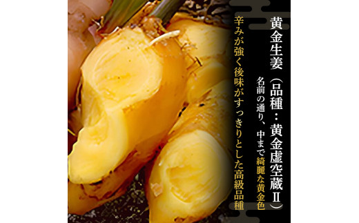ゆうきのもり生産者こだわりの有機黄金生姜　／Ftf-A01
