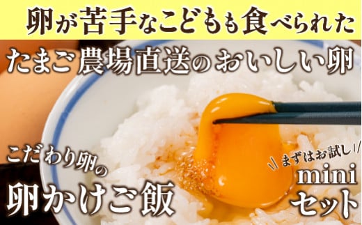 卵が苦手な子どもも食べられた！生臭くないおいしい卵を味わう卵かけご飯ミニセット(卵6個×2P、お米2合×1P、醤油×1本、塩×1P)【お届け日指定可能】／Gbn-C20