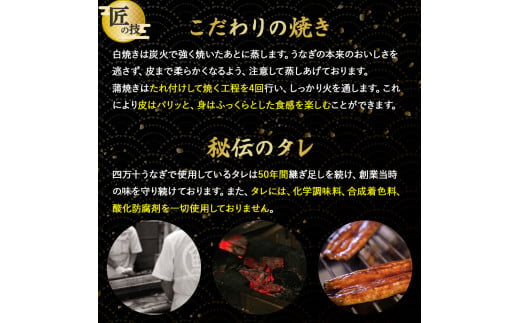 四万十うなぎ 蒲焼き (260gx1尾) 国産 ／Esu-A40 