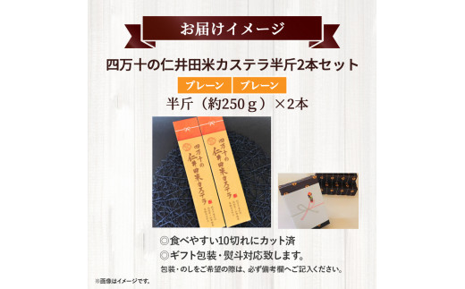 四万十の米粉カステラ【龍馬の太鼓判】プレーン＆プレーン半斤2本セット ／Bmu-C69