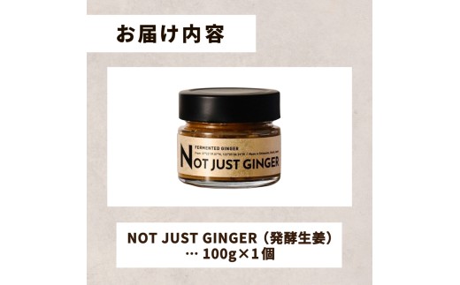 四万十生姜×特許乳酸菌 毎日続ける発酵生姜 「NOT JUST GINGER」／ Fnp-A03