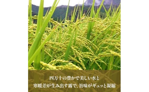 【無洗米】 仁井田米にこまる 5kg こだわりの無洗米でおいしく簡単！／Bos-Z02