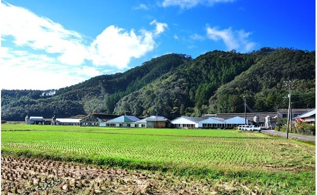 農林水産大臣賞受賞の「四万十ポーク」平野協同畜産の「麦豚」焼き肉用（豚ロース肉1.1kg）／Ahc-A01