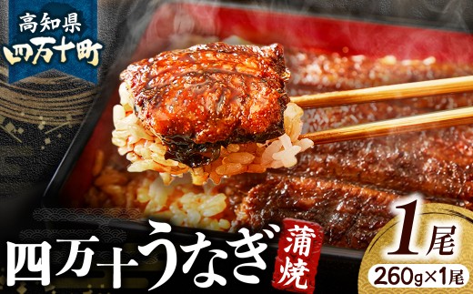 四万十うなぎ 蒲焼き (260gx1尾) 国産 ／Esu-A40 