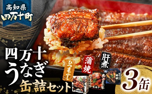 四万十うなぎ 缶詰セット【蒲焼き・ひつまぶし・肝煮】 国産 ／Esu-A77