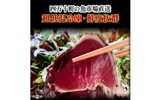 鮮度抜群！魚市場直送の藁焼きカツオのタタキ3-4人前／Ems-B01