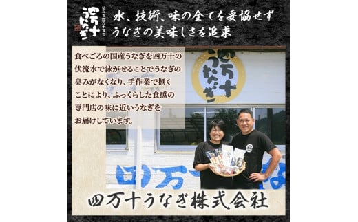 四万十うなぎ 蒲焼き 【有頭】特大240g（2本入り） 国産  ／Esu-A205