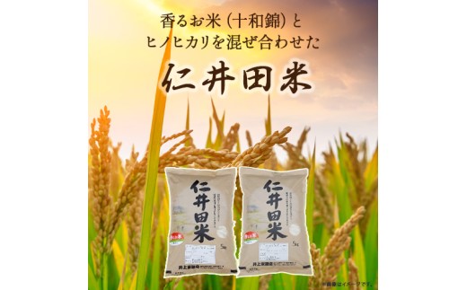 ◎令和7年産◎四万十ふるさとの味「香るお米」十和錦オススメ5kg×３点セット ／Bib-B03