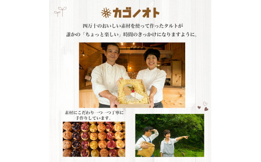  【しまんと果実／エコ包装】タルト（3個入：キウイ・すもも・文旦）カゴノオト／Ikg-B97