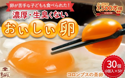 卵が苦手な子どもも食べられた！生臭くないおいしい卵 6個入×5P／Gbn-A03 