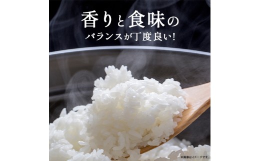  ◎令和7年産◎絶妙なバランスが大好評！井上米穀店のオススメ２点10kgセット（5kg×２セット）／Bib-B02