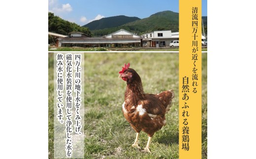 卵が苦手な子どもも食べられた！生臭くないおいしい卵 （10個入×6P）／Gbn-A59