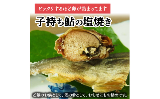 【希少】子持ち鮎の塩焼きと焼鮎醤油のセット／Ess-A12 