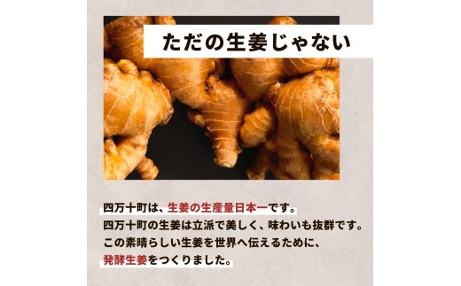 四万十生姜×特許乳酸菌 毎日続ける発酵生姜 「NOT JUST GINGER」／ Fnp-A03