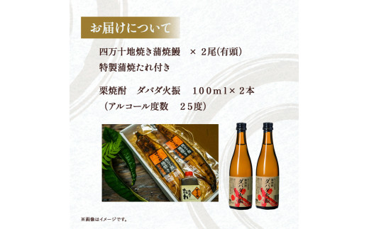 炭火の蒲焼ウナギ2尾＆幻の栗焼酎ダバダ火振り　Esg-22