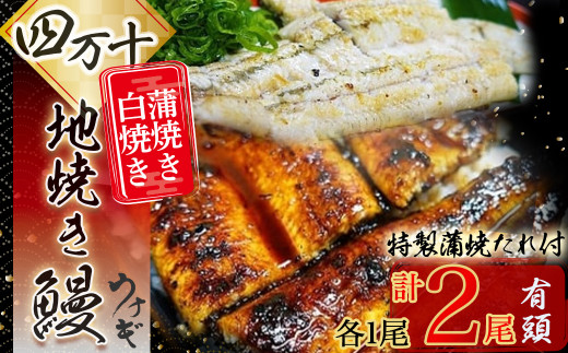 四万十地焼き鰻２尾 蒲焼＆白焼セット Esg-20
