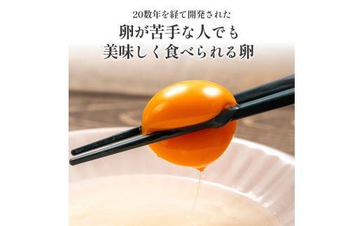 卵が苦手な子どもも食べられた！生臭くないおいしい卵 （10個入×6P）／Gbn-A59