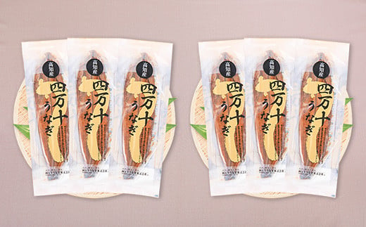 〈鰻大好き定期便〉 四万十うなぎ 蒲焼き ≪大≫（160g x 6本）12カ月セット 国産 ／Resu-A07