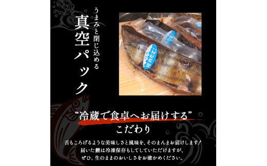 【先行予約】戻りガツオ 鰹のタタキ セット 約4人前（400～500g）／Ekd-A03