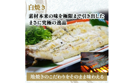 四万十地焼き鰻２尾 蒲焼＆白焼セット Esg-20