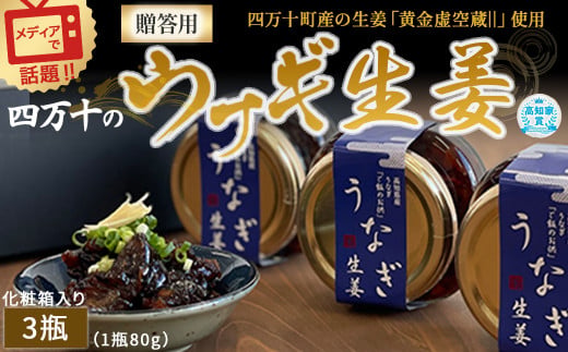 四万十うなぎ 生姜 3瓶（1瓶80g入り）  ご飯のお供 鰻 ショウガ しょうが 肴 常温 四万十鰻 国産／Ess-A28
