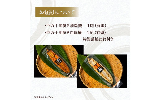 四万十地焼き鰻２尾 蒲焼＆白焼セット Esg-20
