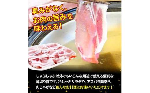 農林水産大臣賞！「四万十ポーク」麦豚ロースとんかつ＆しゃぶしゃぶセット（1.1kg） ／Ahc-A03